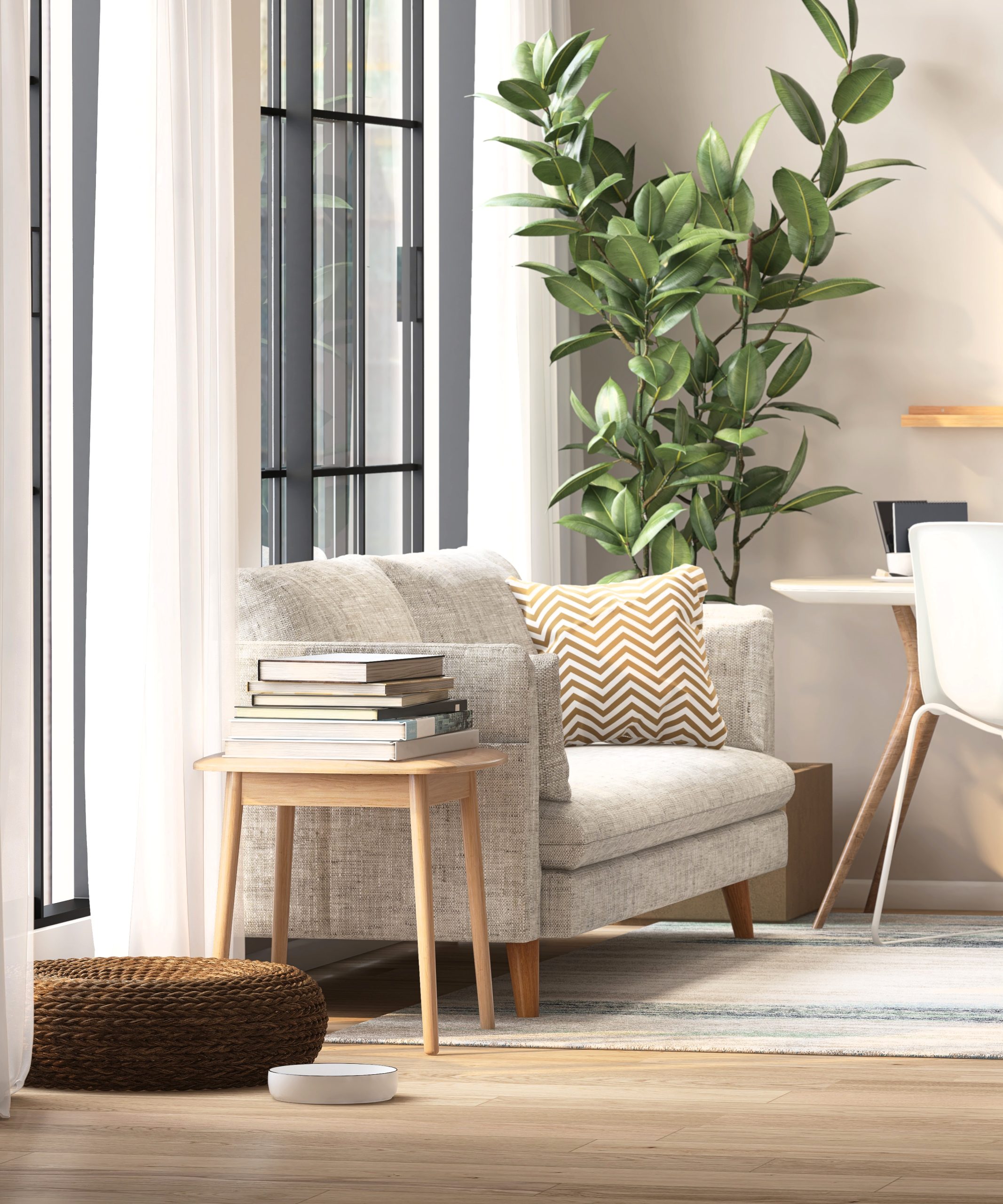 White fabric sofa, India rubber plant, wooden side table and desk in modern and luxury creamed wall and parquet floor room with sunlight from sheer curtain window